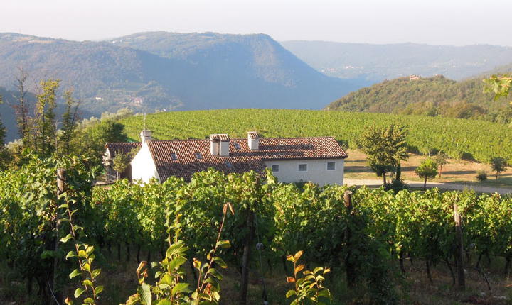 Del Rebene wine farm