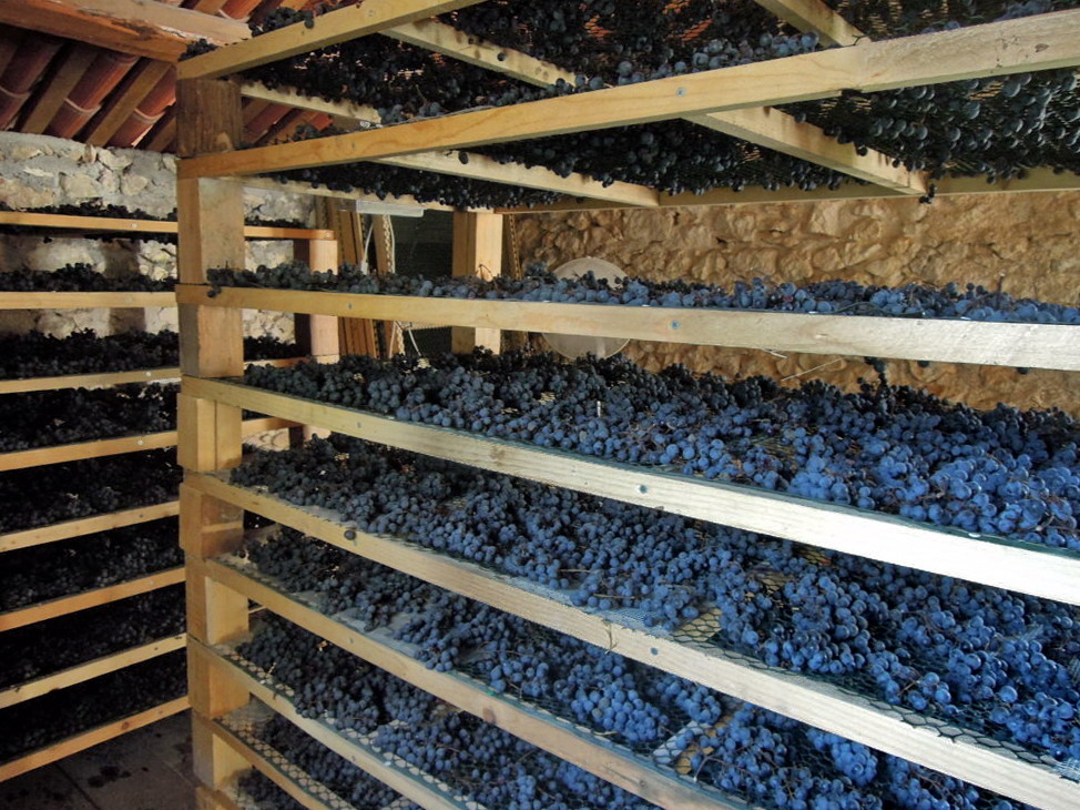 vinificazione azienda agricola - Del Rebene